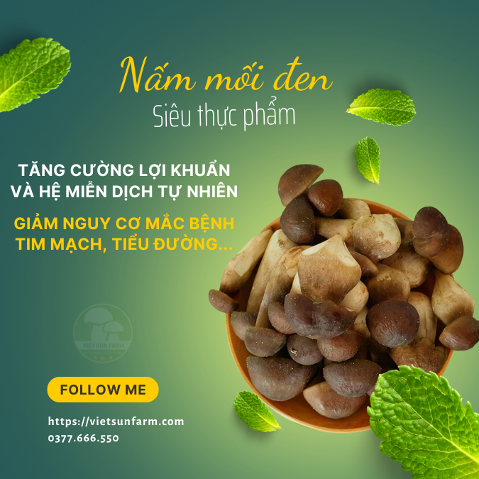 Lợi ích từ nấm mối đen