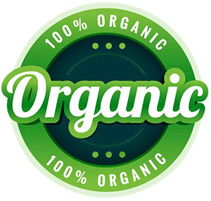 Nấm mối đen sản xuất hữu cơ