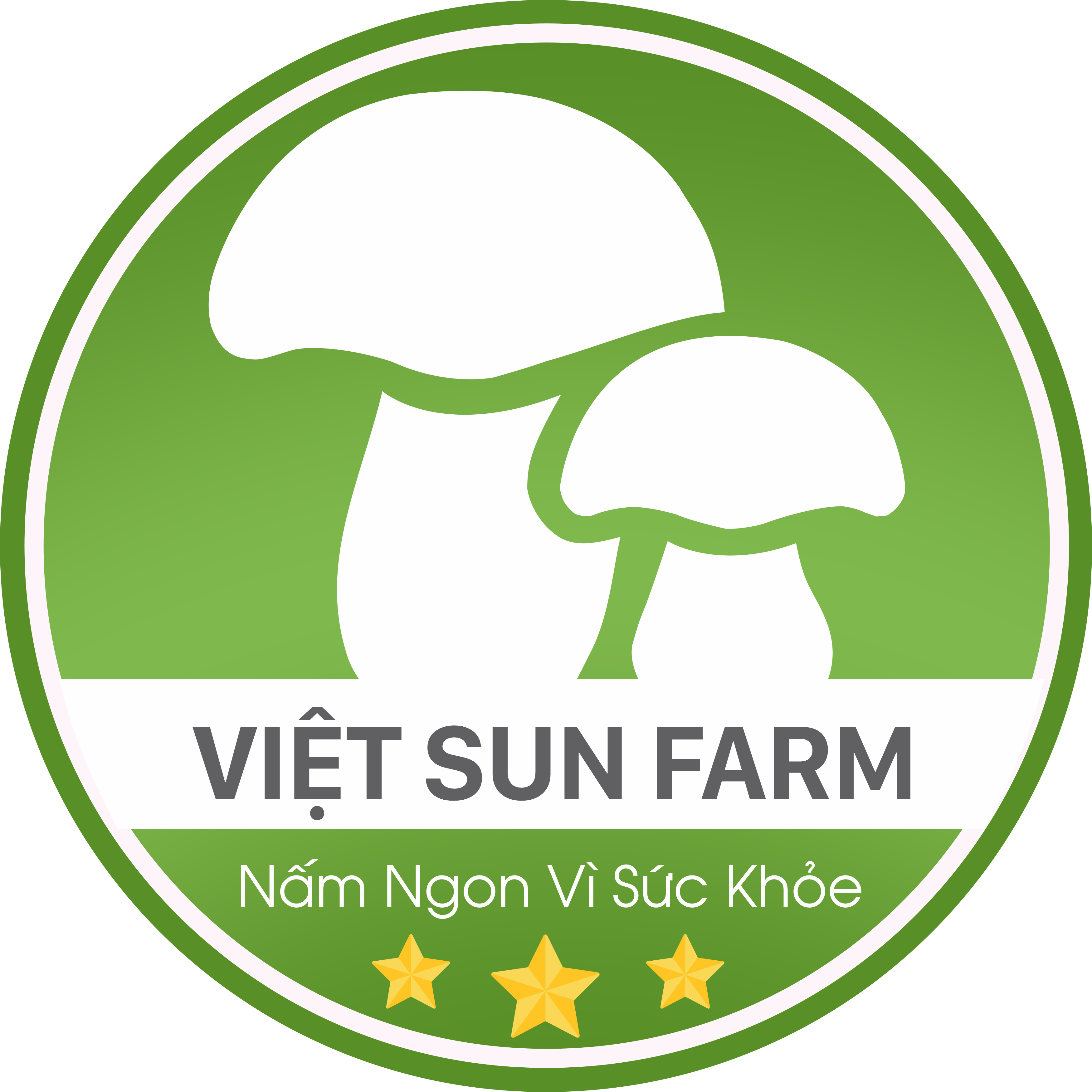 Nấm Mối Đen Bổ Dưỡng